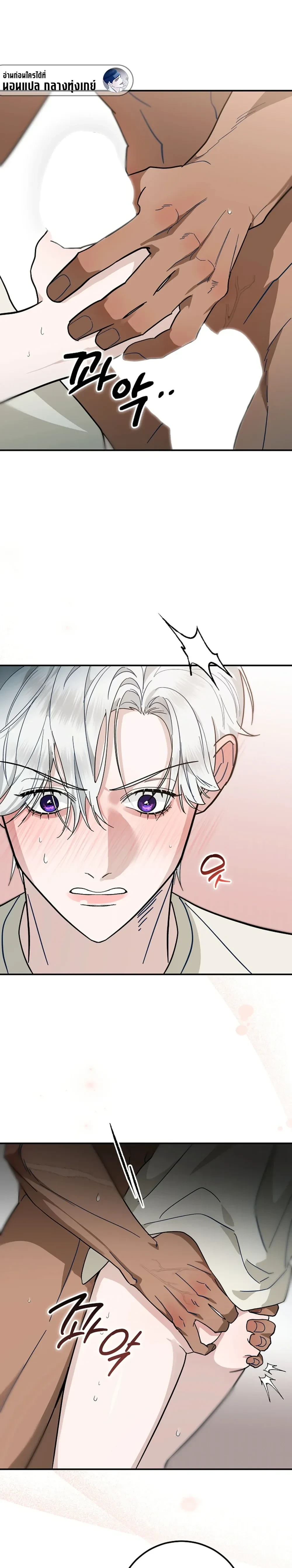 หน้าที่ 29