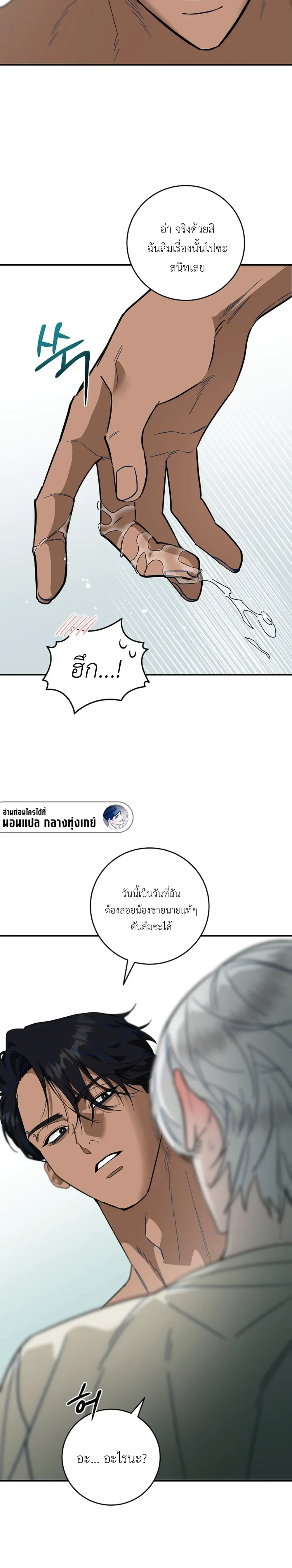หน้าที่ 17
