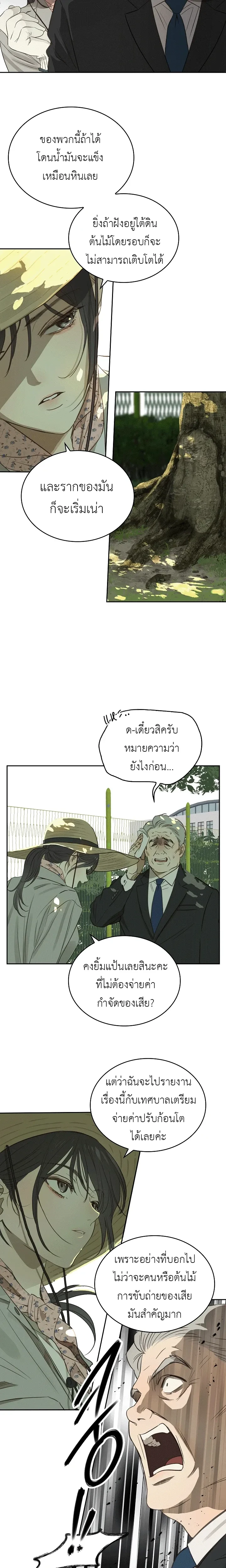 หน้าที่ 25