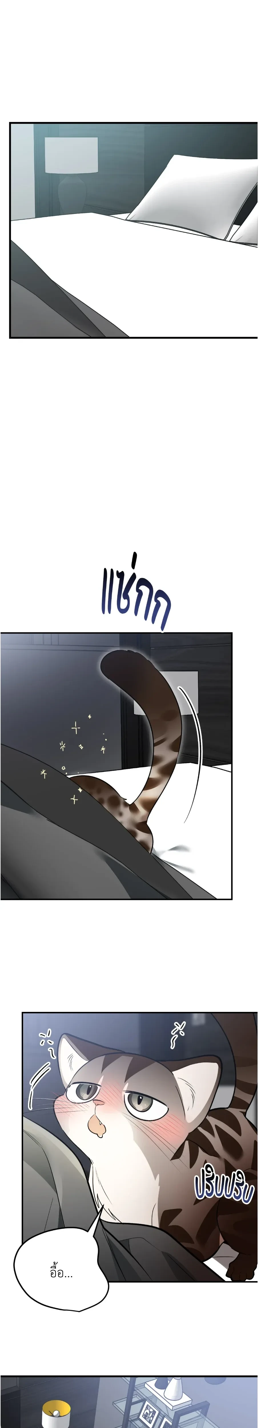 หน้าที่ 49