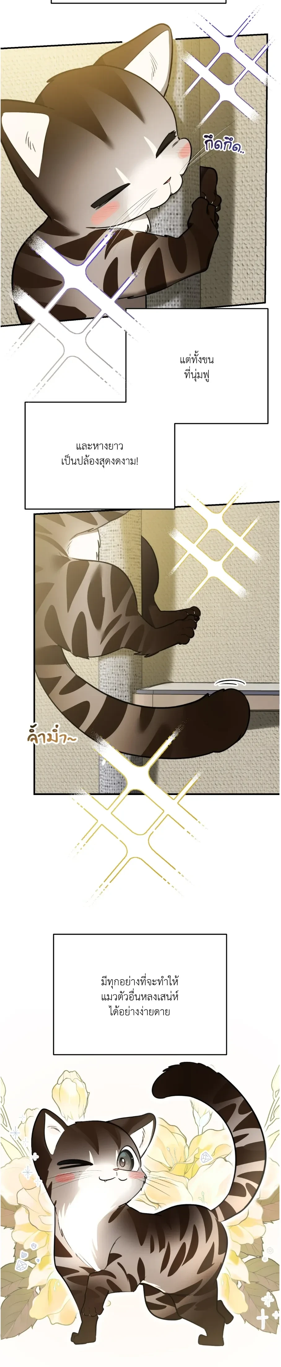 หน้าที่ 17