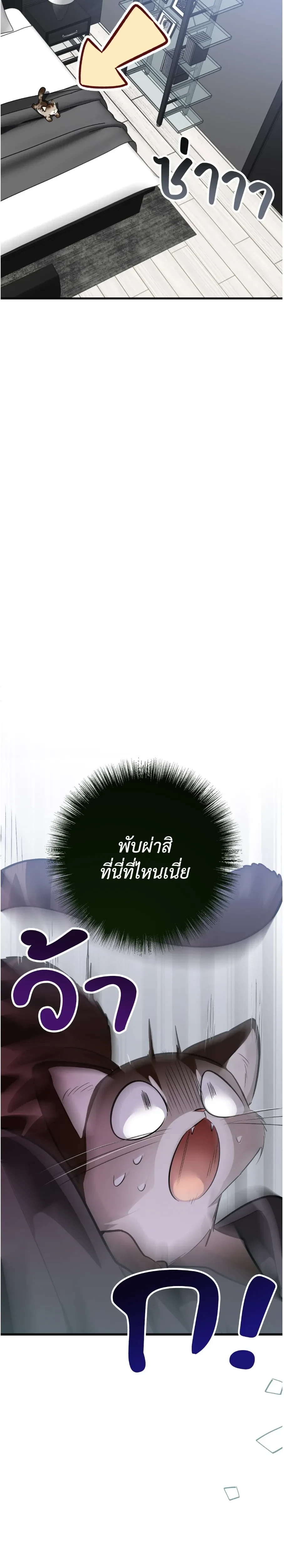 หน้าที่ 50