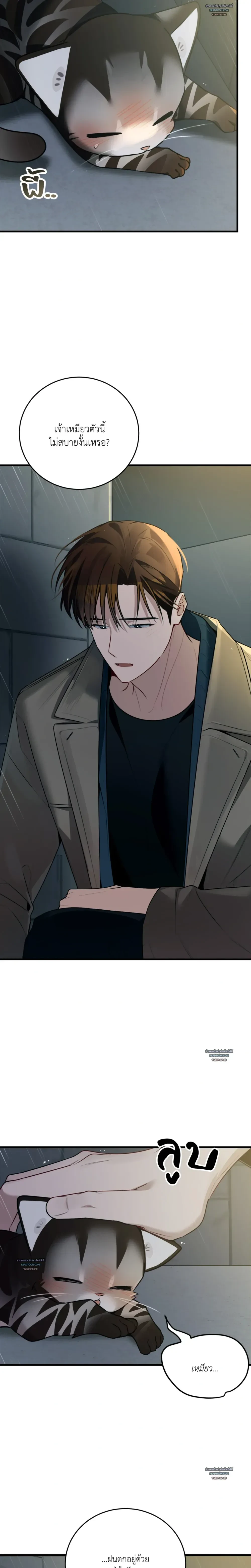 หน้าที่ 48