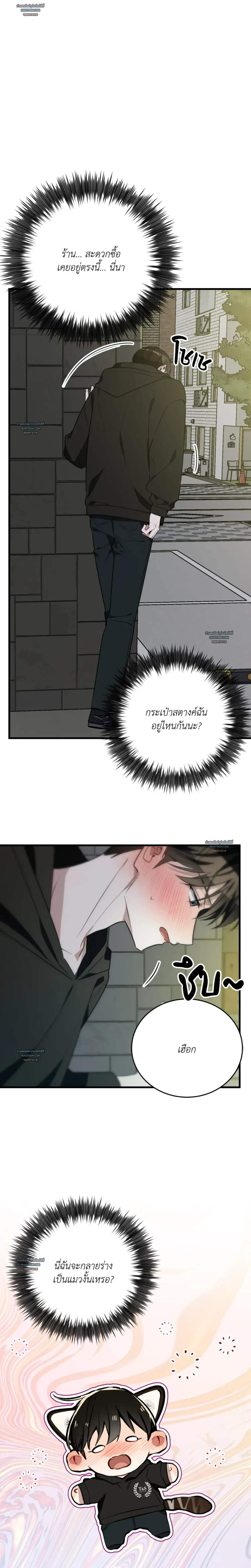 หน้าที่ 41