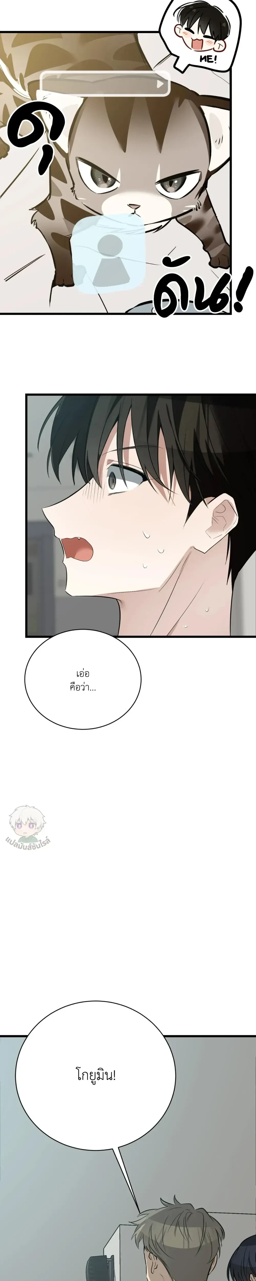 หน้าที่ 37