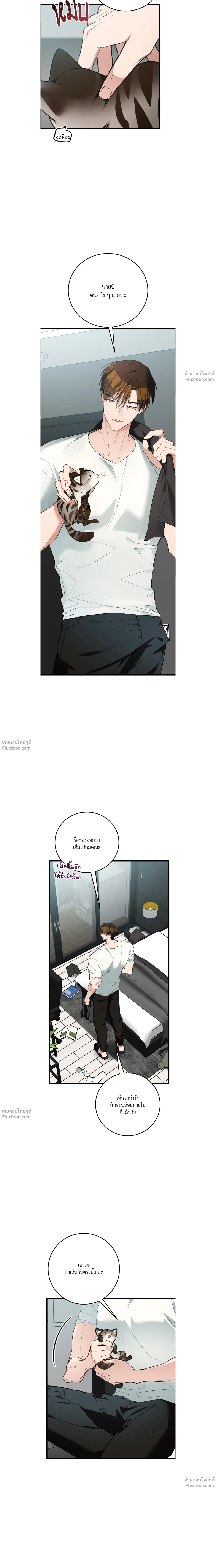 หน้าที่ 11