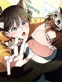 ปกมังงะ แมวน้อยคอยรัก