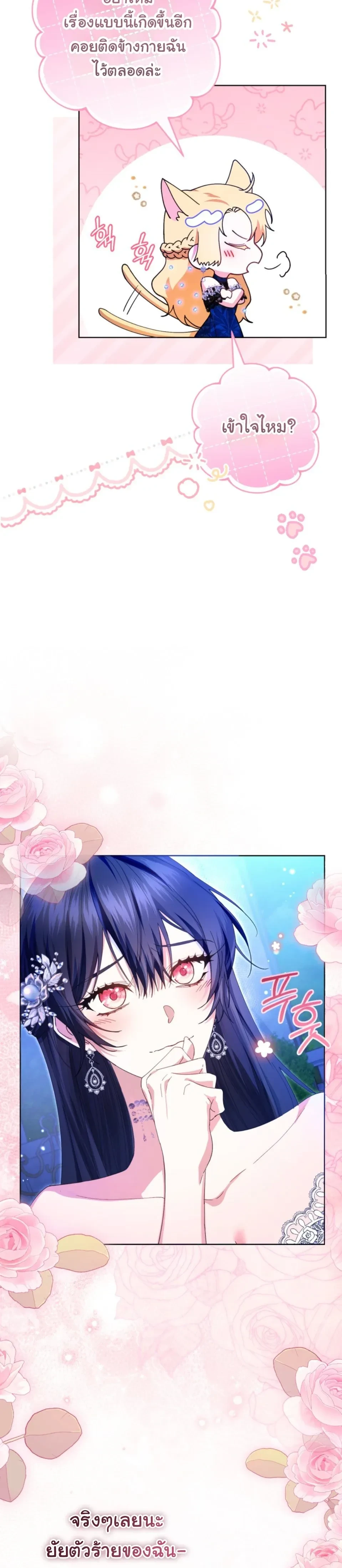 หน้าที่ 42