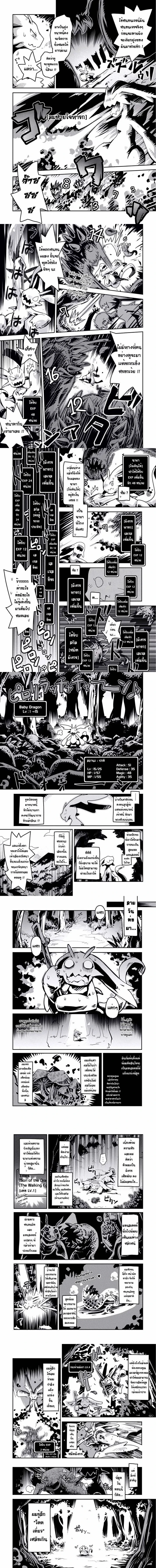 หน้าที่ 5