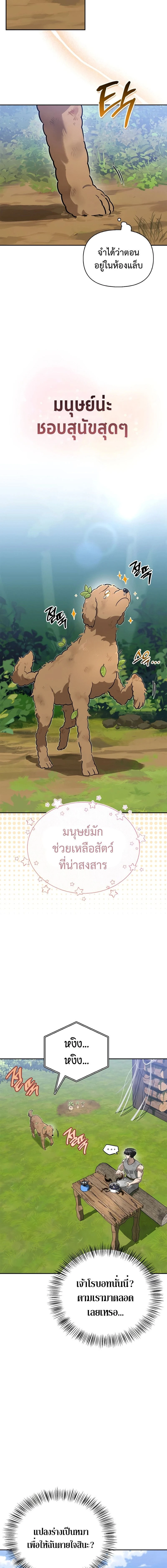 หน้าที่ 19