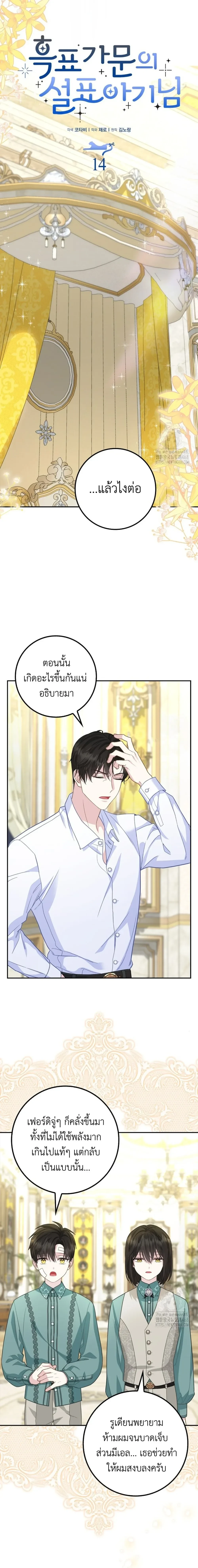 หน้าที่ 17