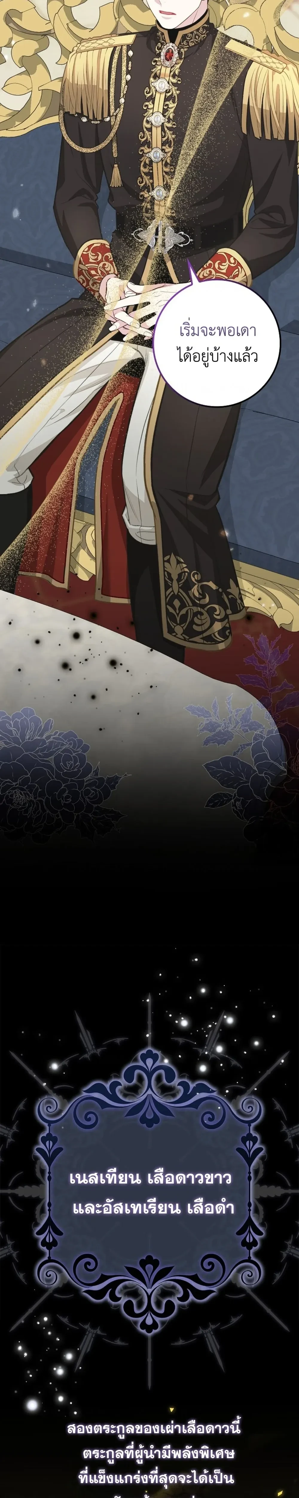 หน้าที่ 29