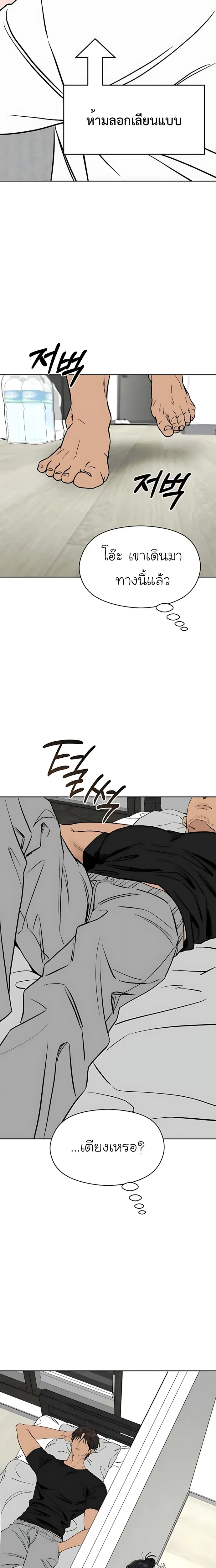 หน้าที่ 31