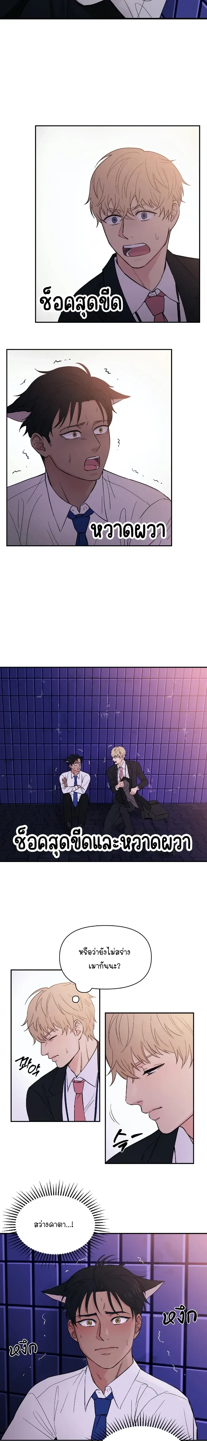หน้าที่ 8