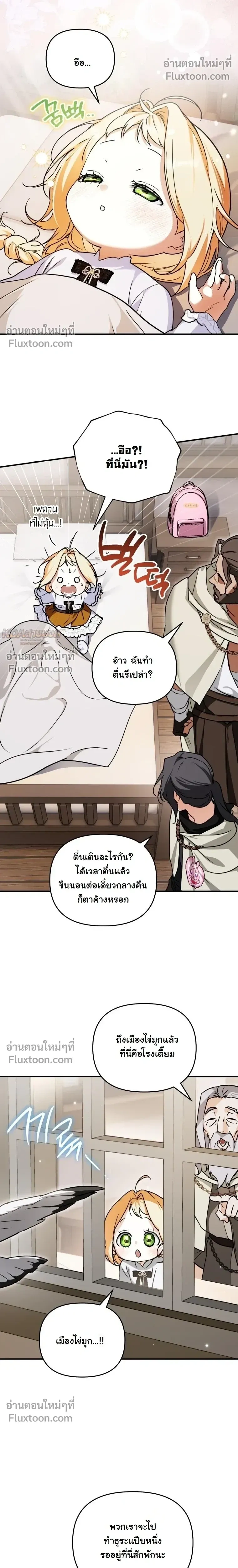 หน้าที่ 17