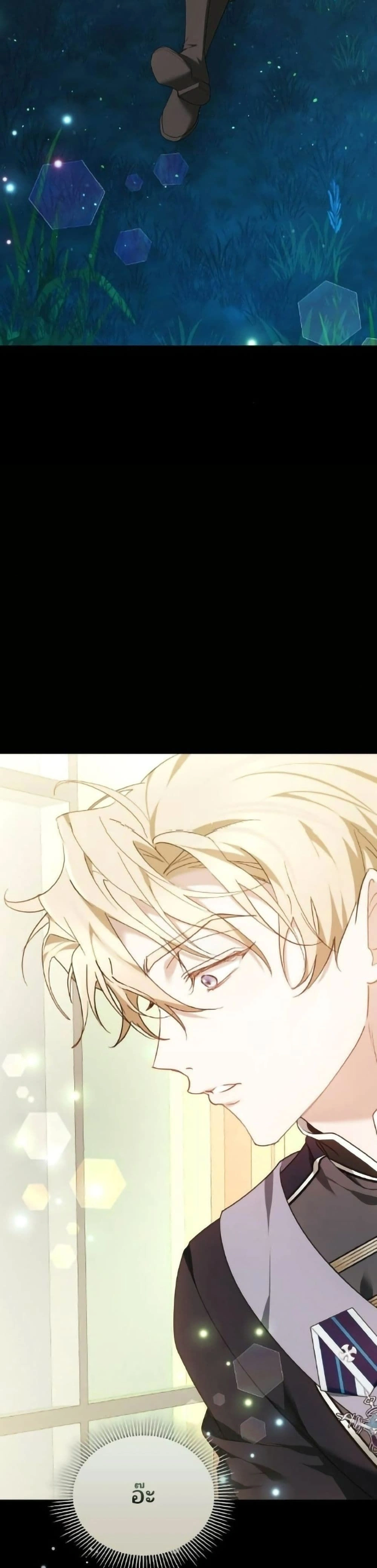 หน้าที่ 48