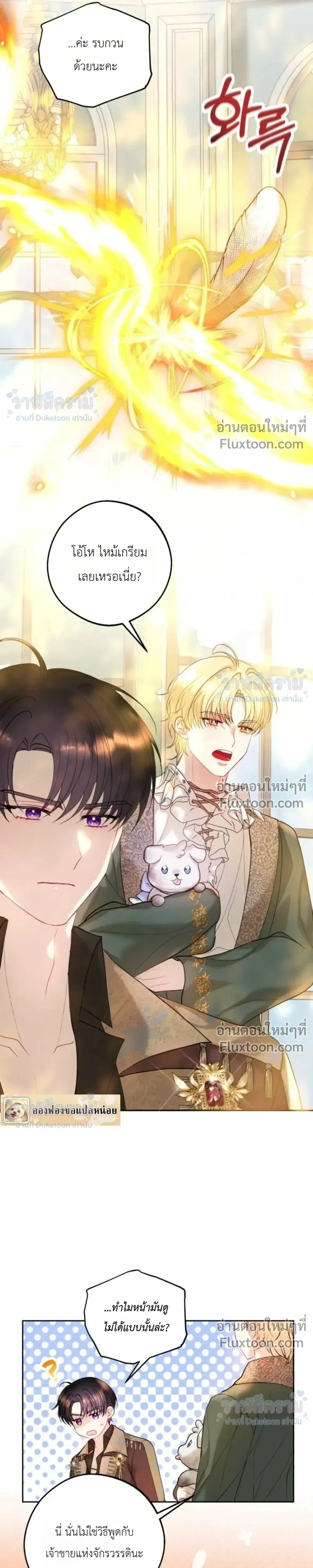 หน้าที่ 17