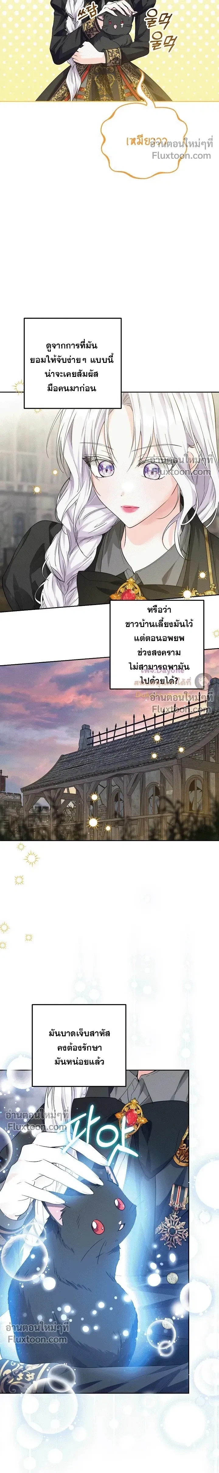 หน้าที่ 11