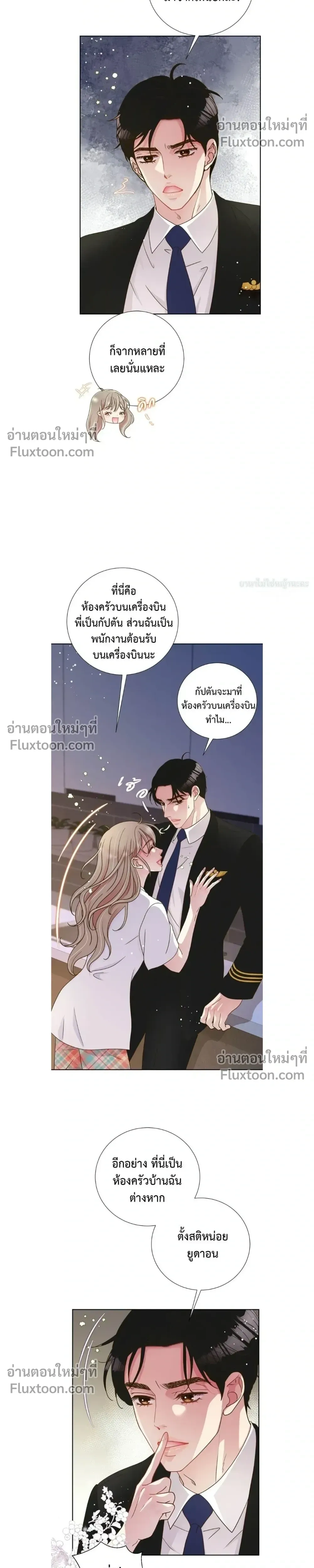 หน้าที่ 13