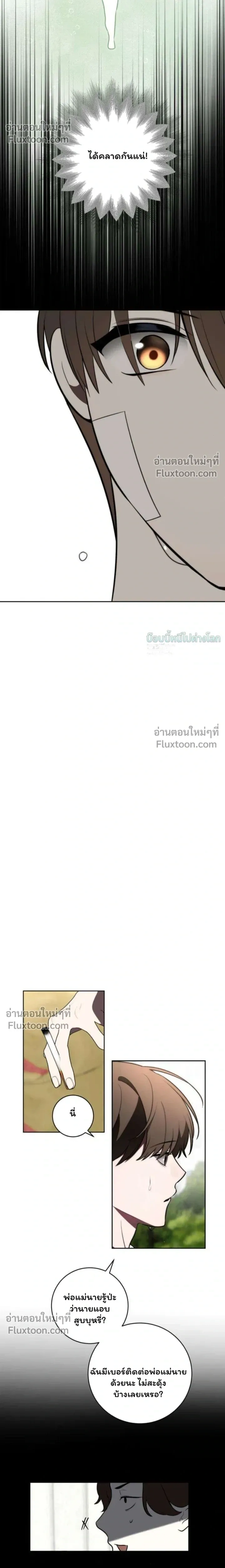 หน้าที่ 29