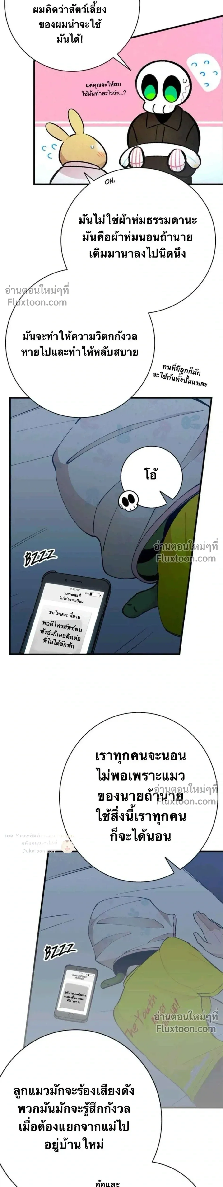 หน้าที่ 13