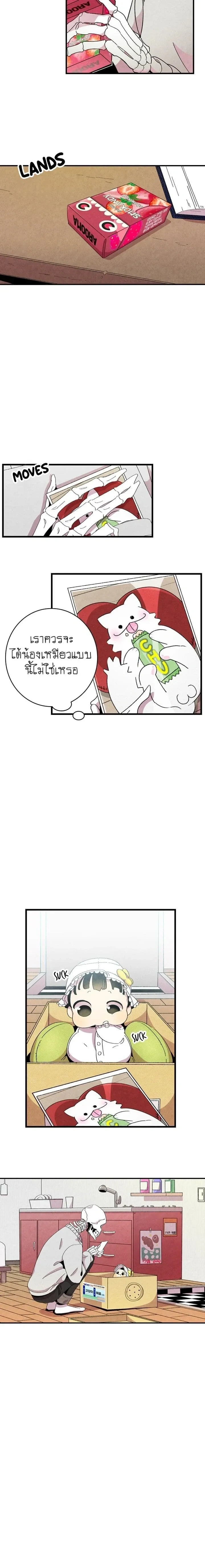 หน้าที่ 11