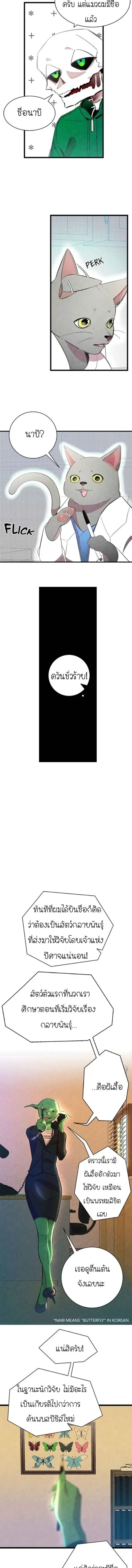 หน้าที่ 11