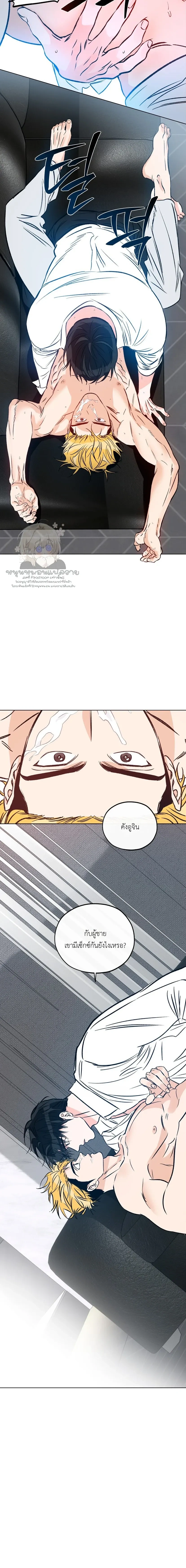 หน้าที่ 17