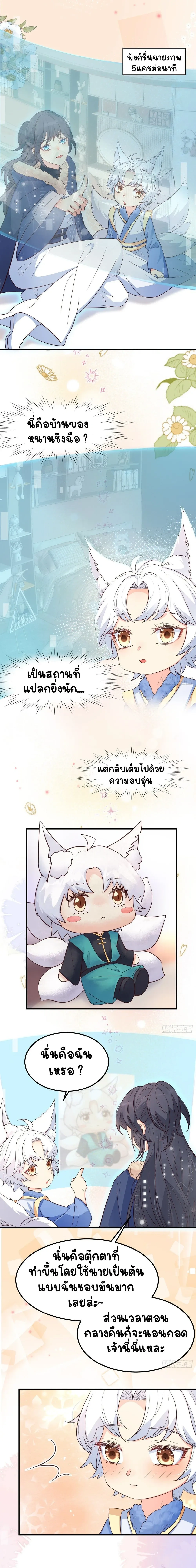หน้าที่ 5