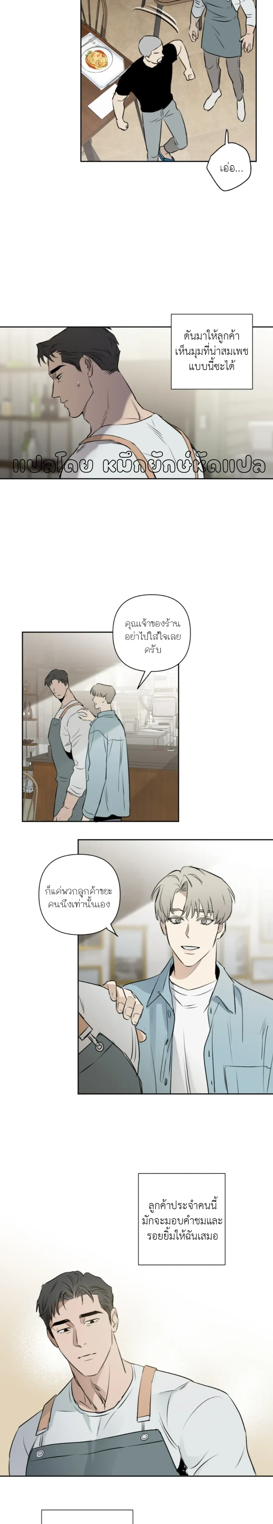 หน้าที่ 13