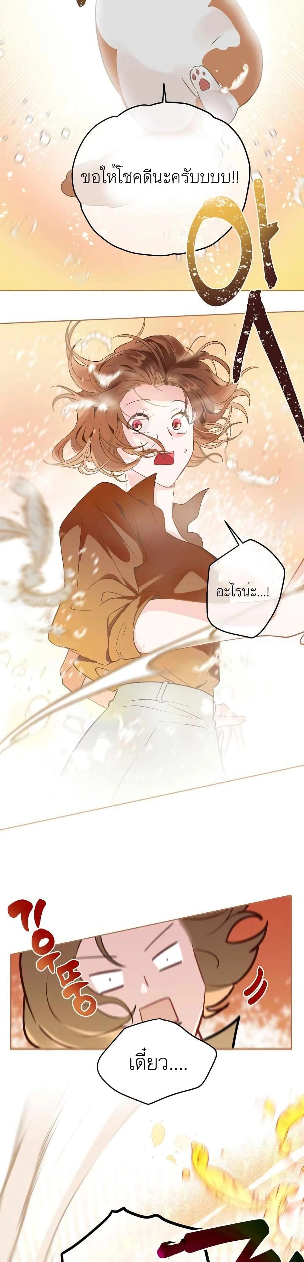 หน้าที่ 29