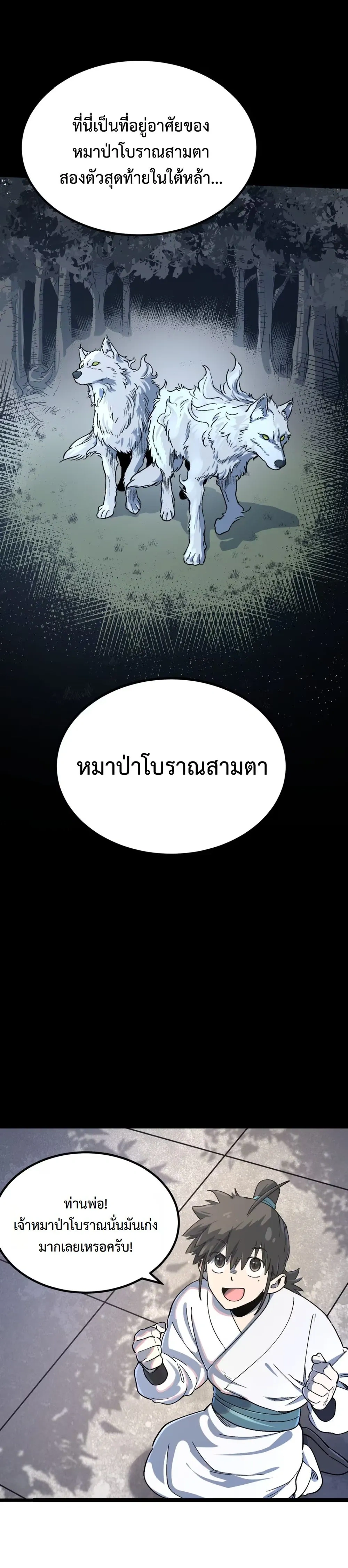 หน้าที่ 13