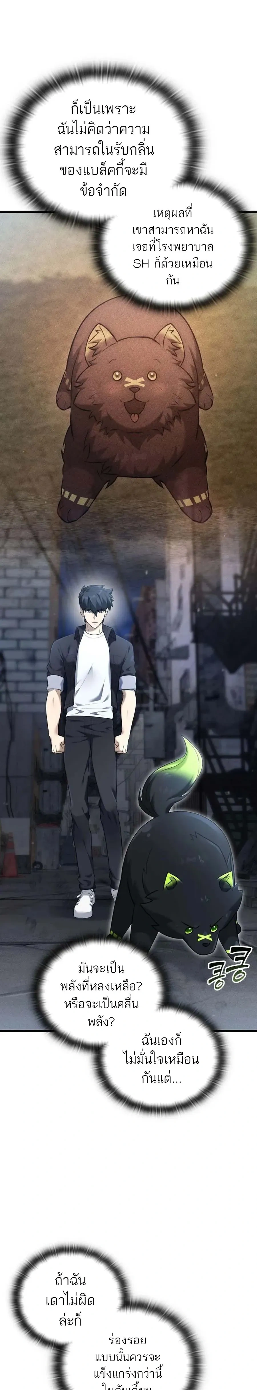 หน้าที่ 13