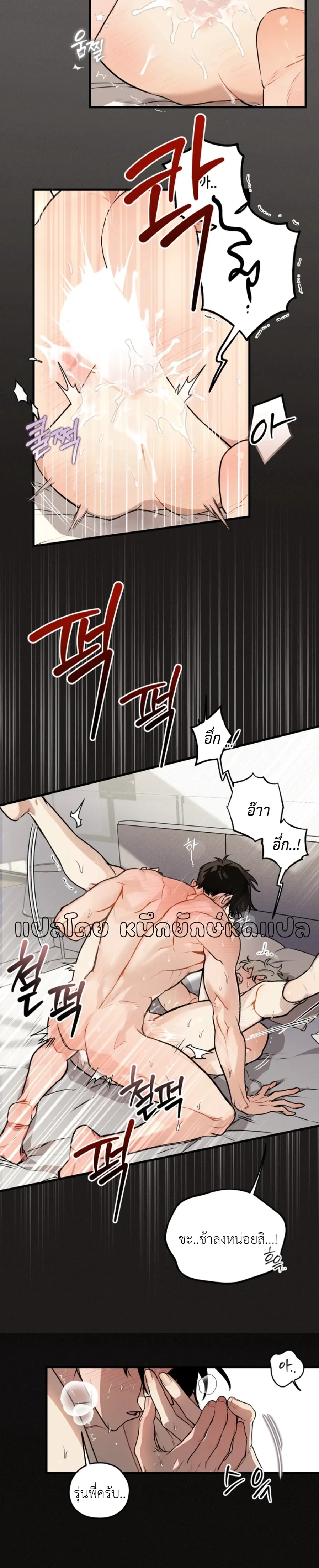 หน้าที่ 11