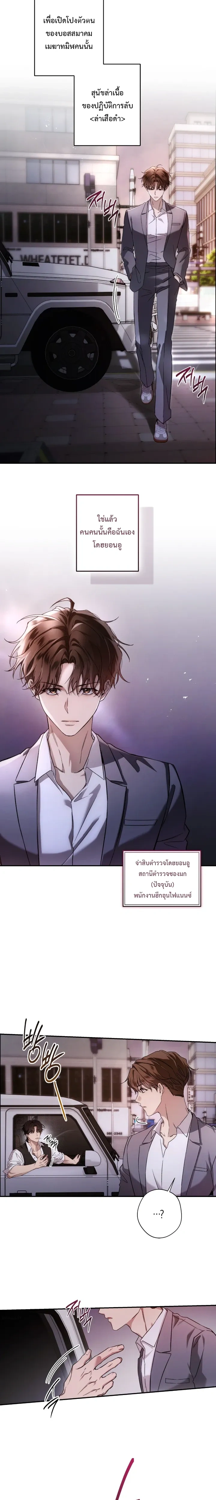 หน้าที่ 13