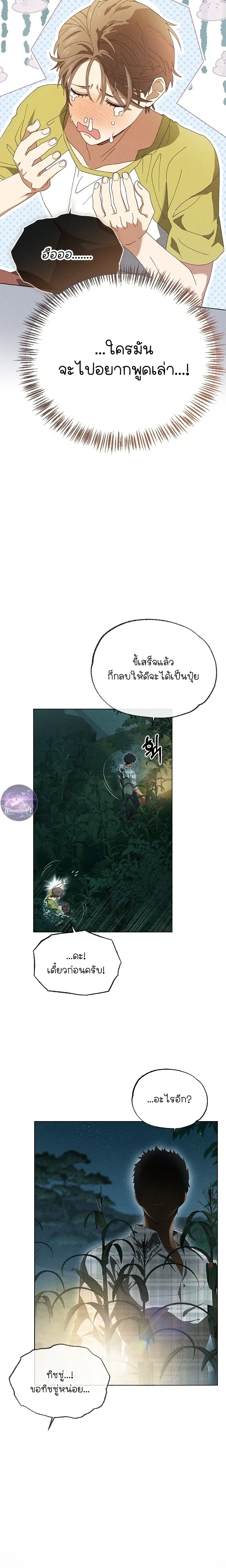 หน้าที่ 13