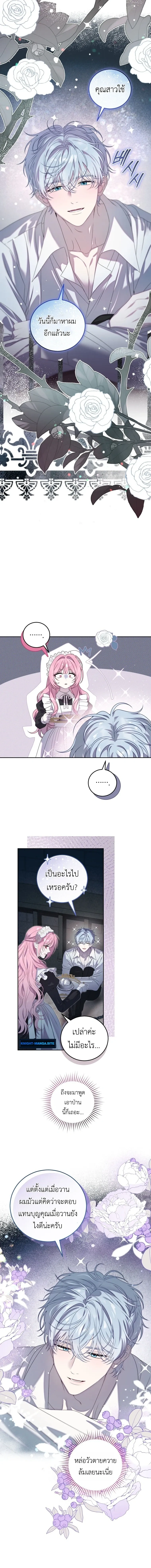 หน้าที่ 13