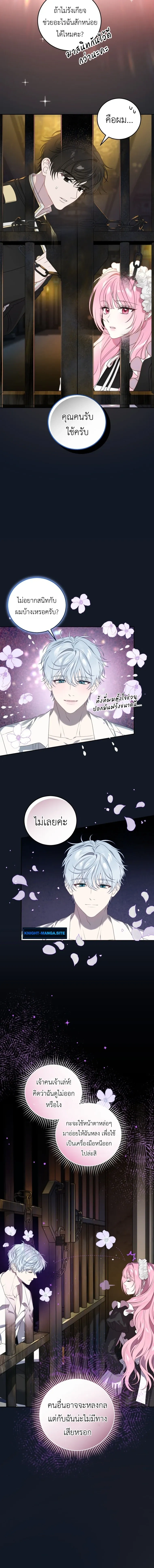 หน้าที่ 13