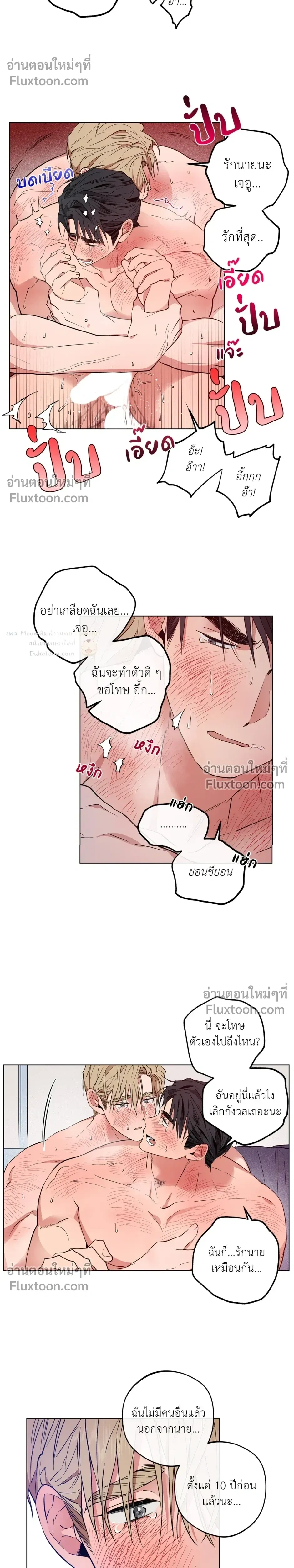 หน้าที่ 11