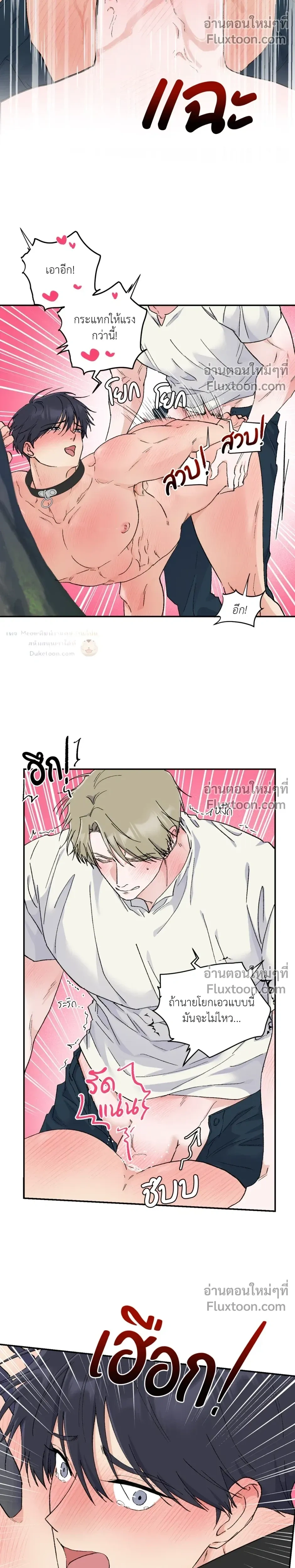 หน้าที่ 14