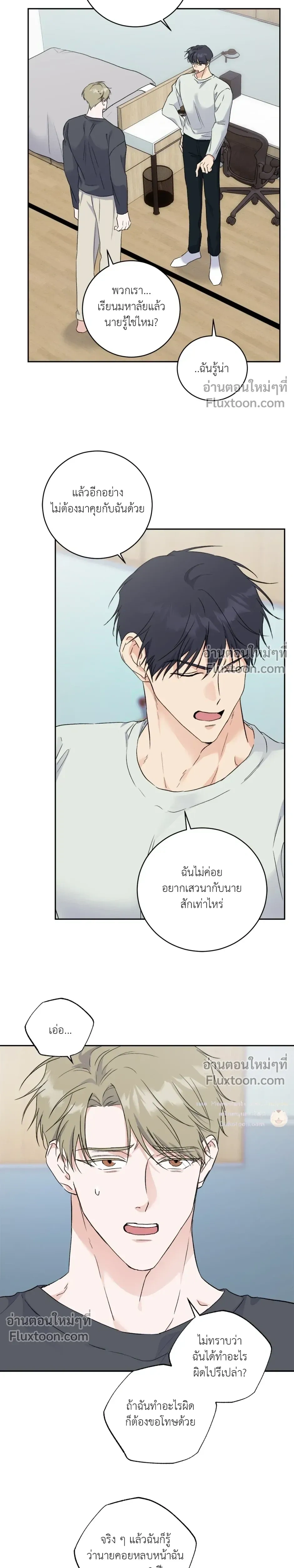 หน้าที่ 13