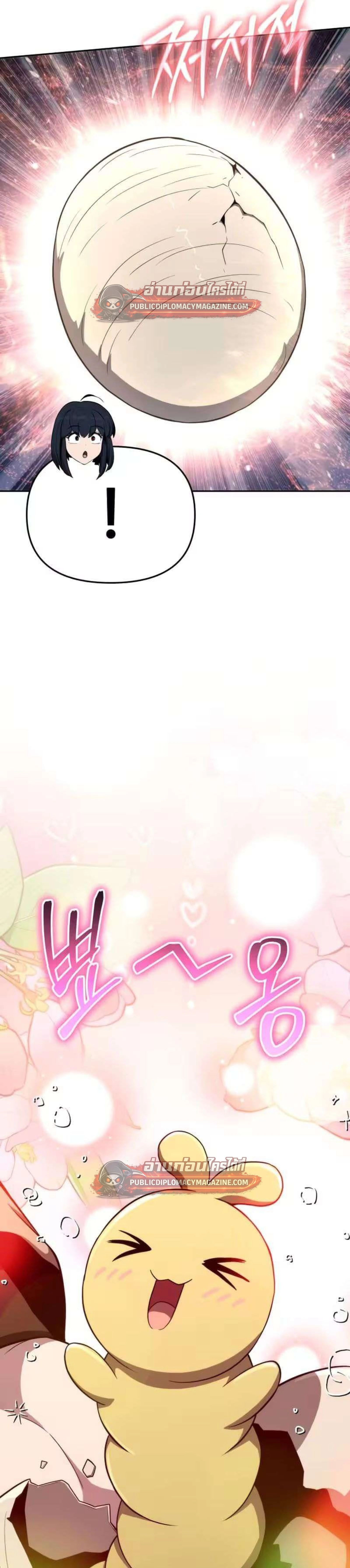 หน้าที่ 33