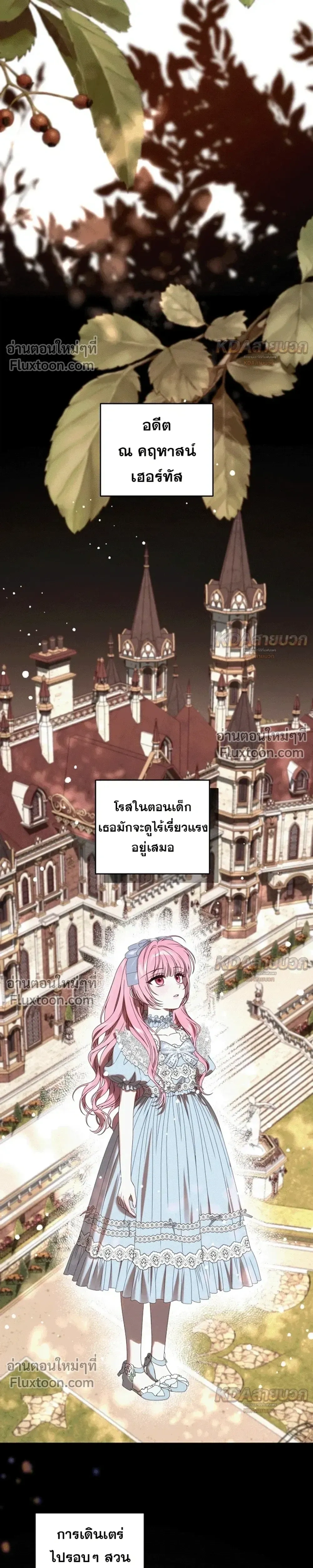 หน้าที่ 24