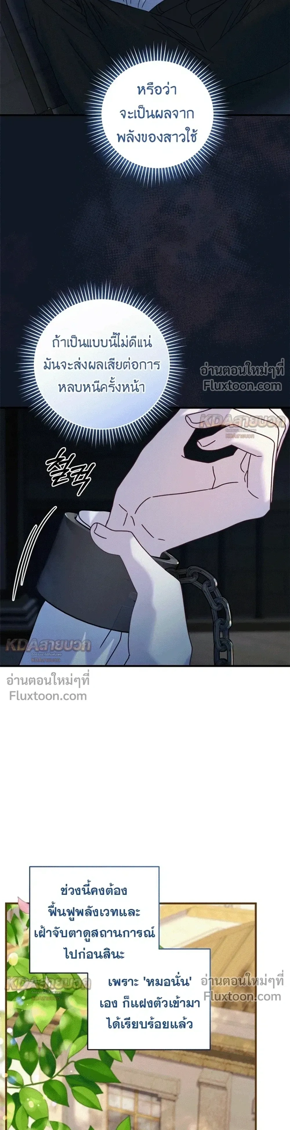 หน้าที่ 17