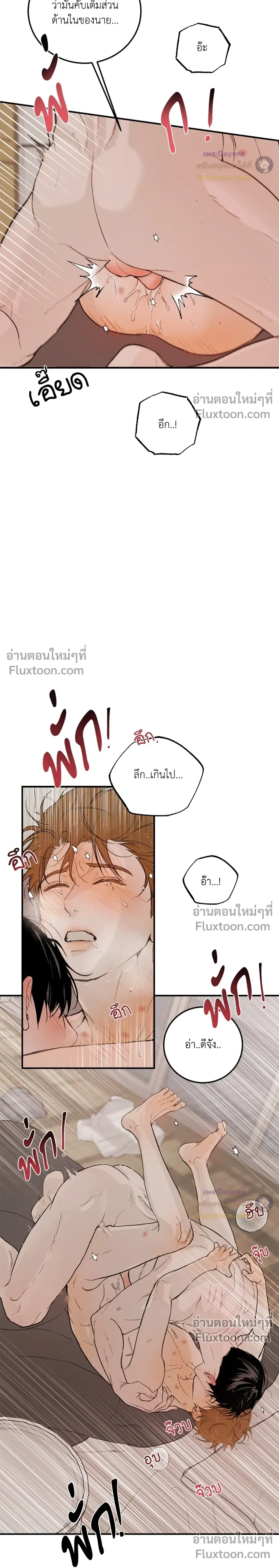 หน้าที่ 24