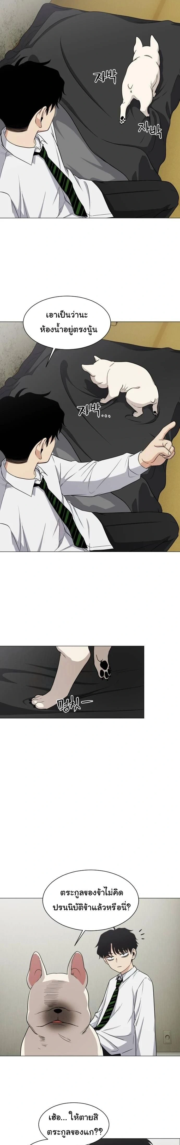 หน้าที่ 17