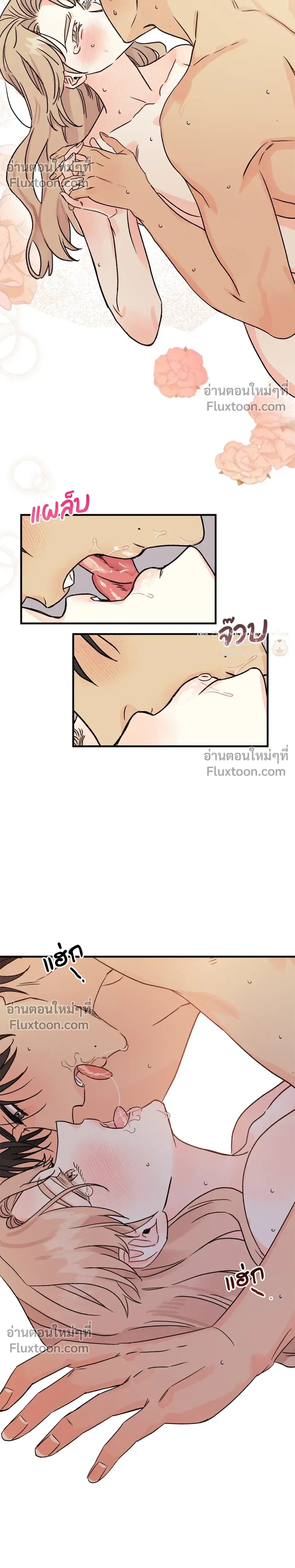 หน้าที่ 11