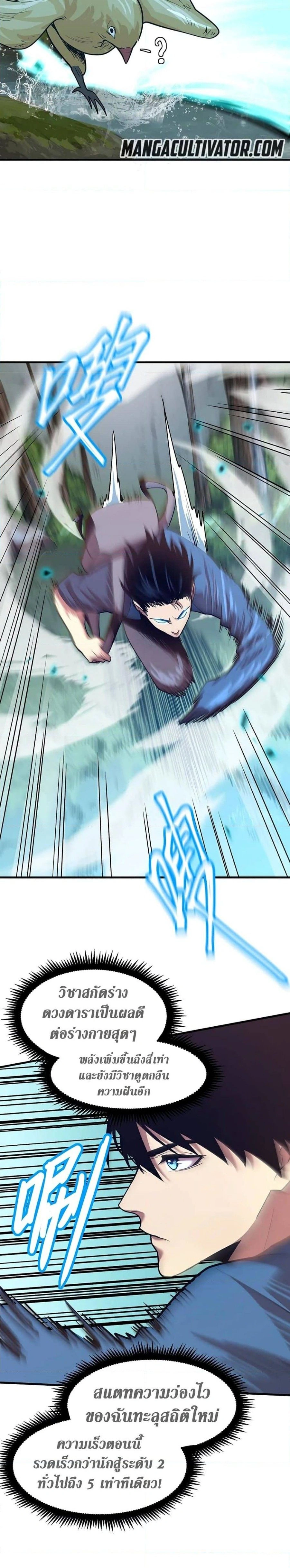 หน้าที่ 13