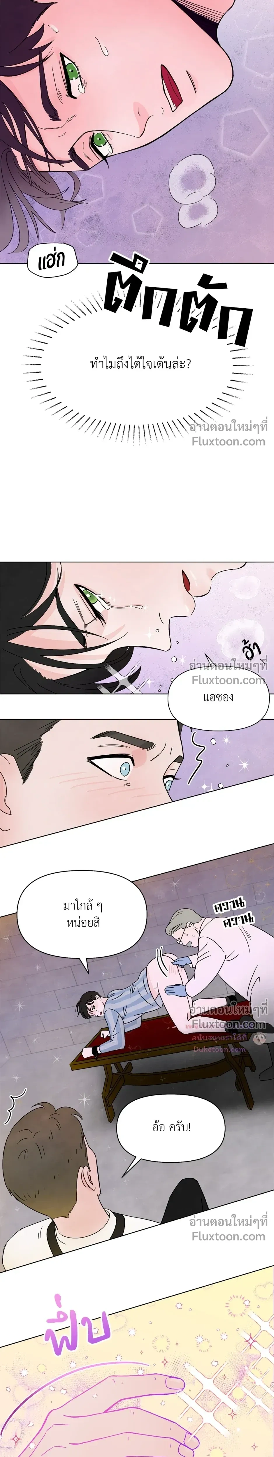 หน้าที่ 13