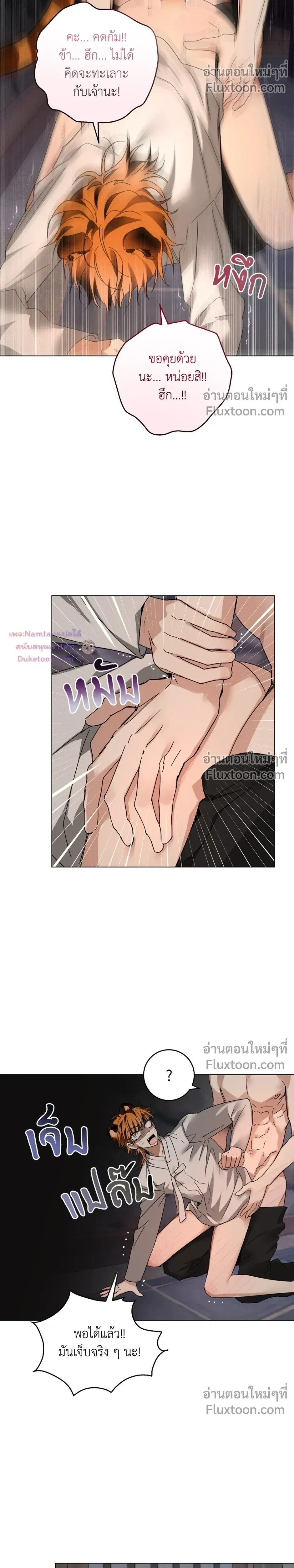 หน้าที่ 8